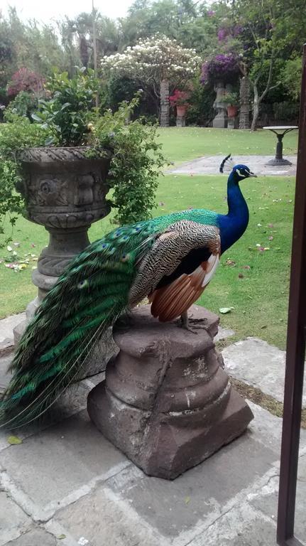 Las Calandrias Otel Atlixco Dış mekan fotoğraf